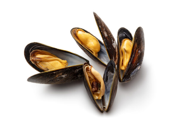 Black Mussels (Mejillones negros)