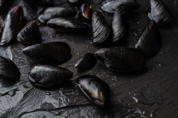 Black Mussels (Mejillones negros) - Image 2